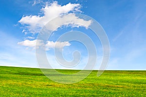 Ecology concept. Meadow and beautiful sky