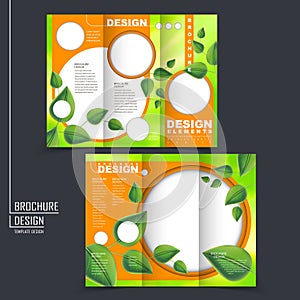 Ecology concept tri-fold template brochure with leaf element