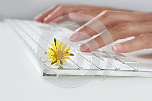 Ecology concept of woman hands typing keyboard