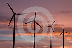 Ecology energy farm with wind turbine