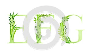 Ecology english alphabet letters. Green leaves font. E,F,C letters cartoon vector illustration