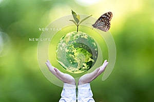 Ecology and Environment Earth.  Planet and tree with butterfly in human hands over green nature ecology, Save the earth concept,