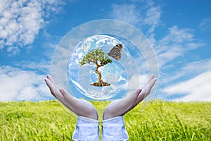 Ecology and Environment Earth. Planet and tree with butterfly in human hands over green and sky nature