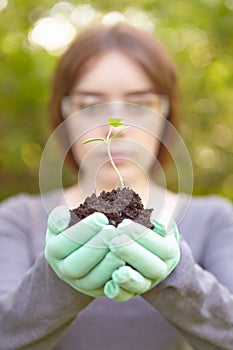 Ecology and environmental conservation. Planting.