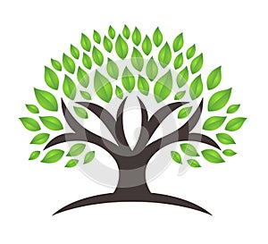 Ecology family tree logo