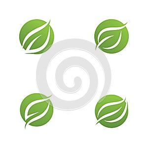 Ecology icon green leaf vector illustration design