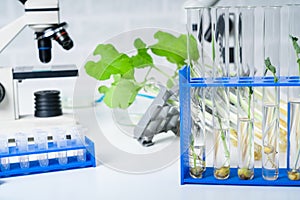 Ecology laboratory exploring new methods of plant breeding