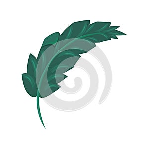 ecology leaf palm green nature isolated icon