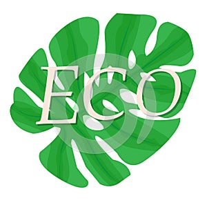 Ecology Logo. Design of a natural eco-friendly product of the company. Flat vector illustration
