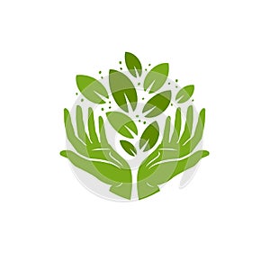 Ecology logo. Environment, nature, natural symbol. Vector illustration photo