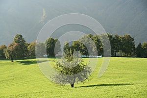 Ecology mountain farm