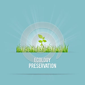 Ecology Preservation