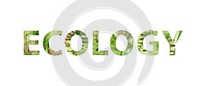 Ecology sign made from leaves, fern, plants. Watercolor illustration. White background. Ecology word drawn from green