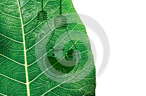 Ecology and think green concept design