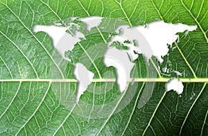 Ecology and think green concept of world map on fresh green leaf