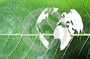 Ecology and think green concept of world map on fresh green leaf