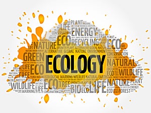 Ecology word cloud