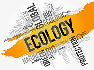 Ecology word cloud, conceptual background