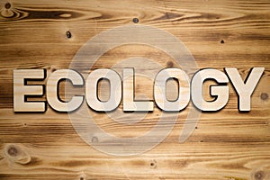 ECOLOGY word made of wooden block letters on wooden board.