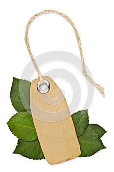 Ecologycal fresh label on white