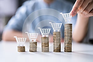 Ecommerce Business Growth