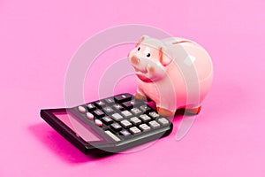 Economics and business administration. Piggy bank money savings. Piggy bank pig and calculator. Credit debt concept