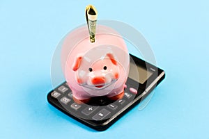 Economics and finance. Piggy bank pink pig stuffed dollar banknote and calculator. Financial wellbeing. Savings account