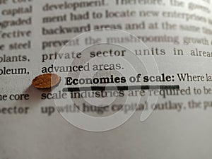 economics of scale text presenting on bussiness article underlined text pattern