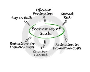Economies of Scale photo