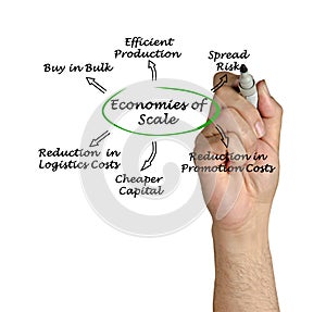 Economies of Scale