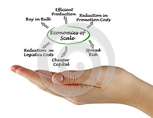 Economies of Scale