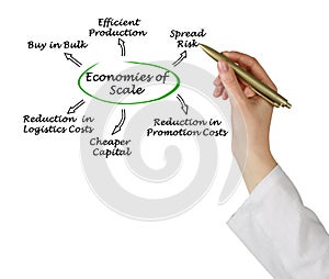 Economies of Scale