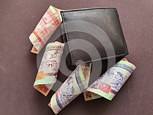 economy and finance with Belizean money