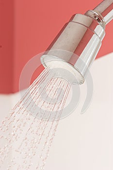 Economy shower head