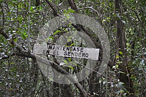 Ecoregion of the Valdivian temperate rainforests in southern Chile Chilean Patagonia