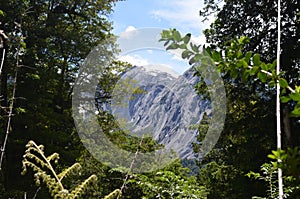 Ecoregion of the Valdivian temperate rainforests in southern Chile Chilean Patagonia photo