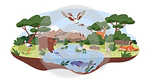 Ecosystem, biodiversity concept. Different forest habitats, carnivore animals, birds in wild environment, nature