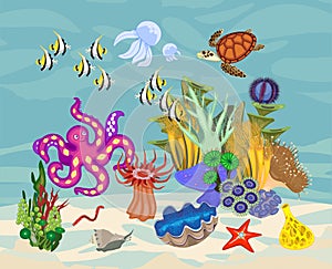 Ecosystem of coral reef with different marine inhabitants