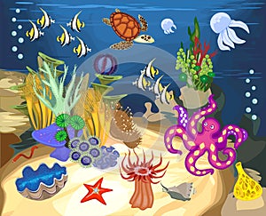 Ecosystem of coral reef with different marine inhabitants