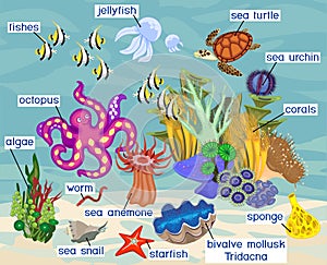 Ecosystem of coral reef with different marine inhabitants with titles