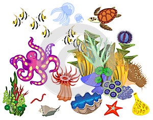 Ecosystem of coral reef with different marine inhabitants on white background