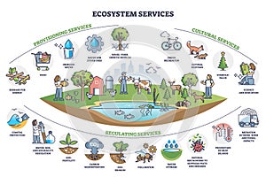 Ecosystem services with subdivision categories collection outline diagram