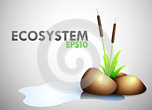 Ecosystem theme photo