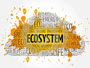 Ecosystem word cloud