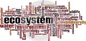 Ecosystem word cloud