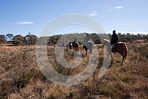 Ecotourism horse riders in Australian bush