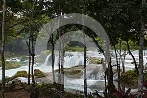 Ecotourism reserve Las nubes in the jungle of Chiapas