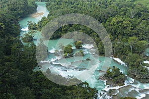 Ecotourism reserve Las Nubes in the jungle of Chiapas