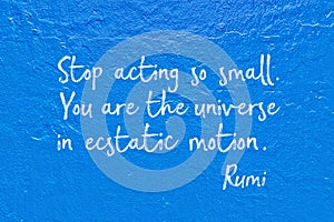 Ecstatic motion Rumi