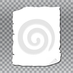 Vector format paper with shadows on transparent background.